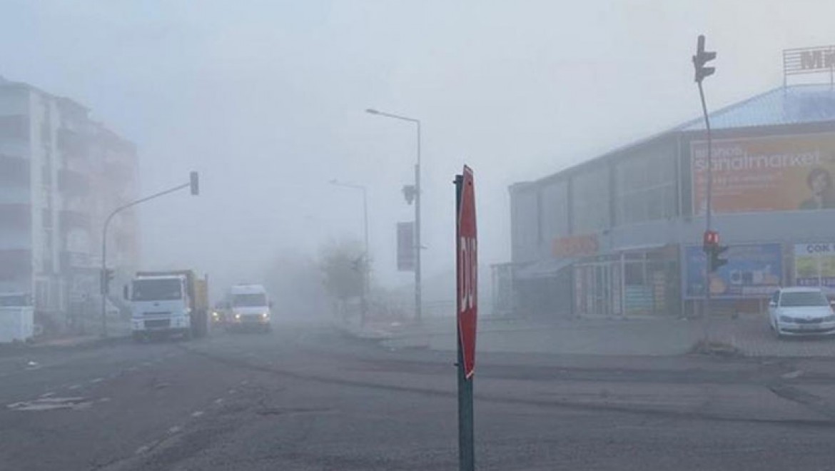 Ardahan'da sis sürücülere zor anlar yaşattı
