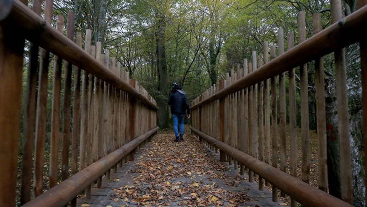 İğneada Longoz Ormanı'ndaki dereler ahşap köprüler ile aşılacak