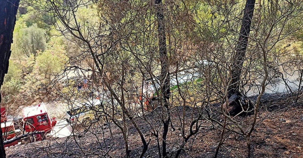 Antalya'da geçen yılki orman yangını endemik bitki türlerine de zarar verdi